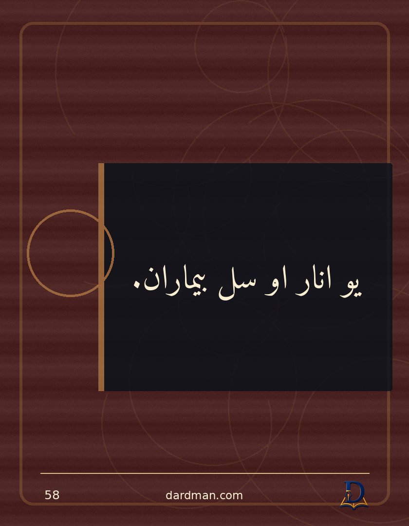 پښتو متل ۵۸: یو انار او سل بیماران.